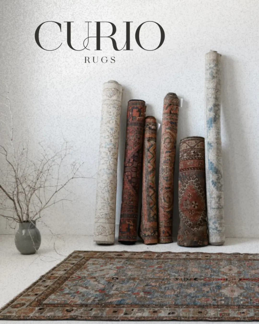 Curio Rugs